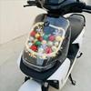 Transparent Front Panel for Ninebot Scooter: DIY Accessory (Models M95C, 85C, 80C, 95C+, M395C)