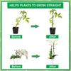 Plant Support Stakes Set for Garden and Potted Plants Adjustable Connectors and Clips for Climbing Plants Tomato Orchid Vegetable Flowers