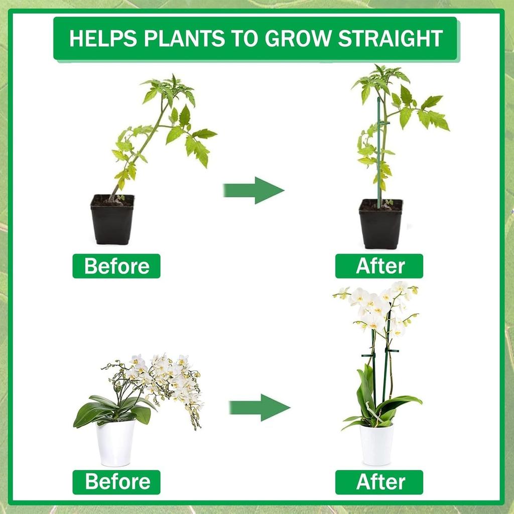 Plant Support Stakes Set for Garden and Potted Plants Adjustable Connectors and Clips for Climbing Plants Tomato Orchid Vegetable Flowers