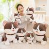 25/35cm Glückshund Puppe Stofftier Plüschtier Handgemachte Puppe Cartoon Anime Niedliches Kissen Kissen Lustiges Kindergeburtstagsgeschenk Puppe