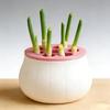 Vertical Green Onion Planter Space-Saving Design Plant Propagation Station  Outdoor Gardening