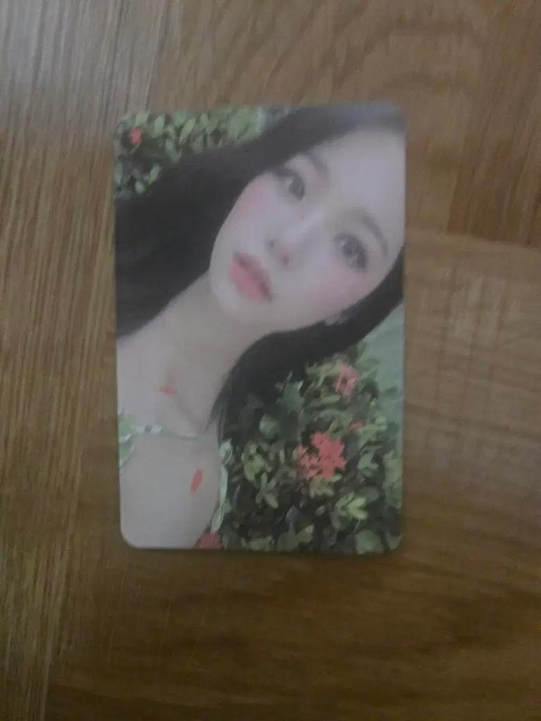 FROMIS_9 (Seller) Poka