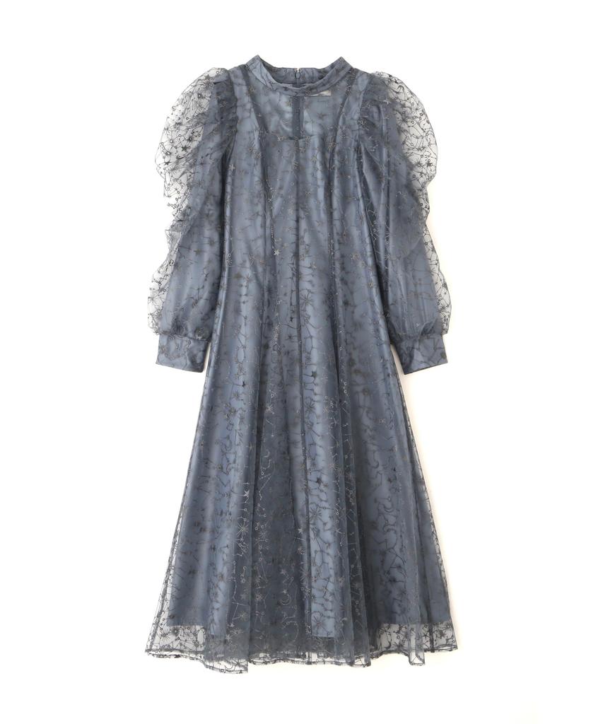 Jill by Jill Stuart Horoscope Embroidered Tulle Dress