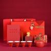 Lilang Ceramic Teapot Spring Festival Gift Set