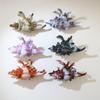 1Pcs Hair Claw Elegant Shark Clip Creative Conch Hairpin Colorful Gift For Summer Beach Headwear Hair Accessories