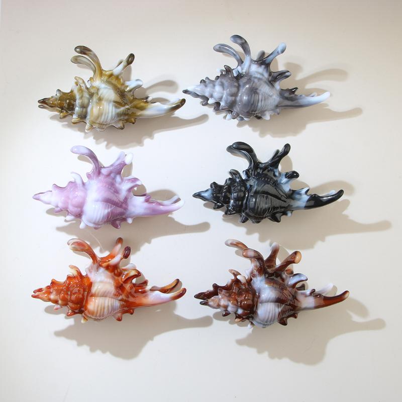 1Pcs Hair Claw Elegant Shark Clip Creative Conch Hairpin Colorful Gift For Summer Beach Headwear Hair Accessories