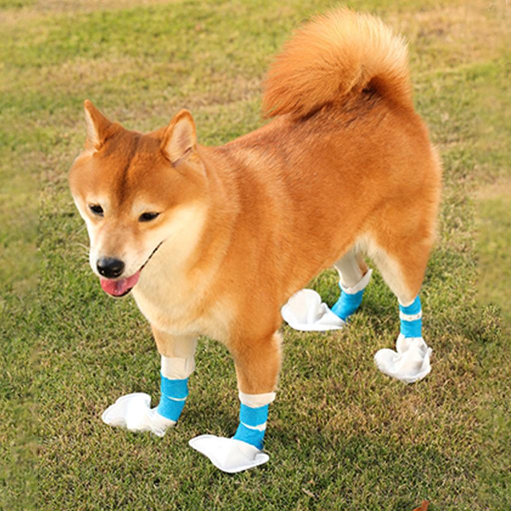 20 Einweg-Haustierschuhüberzieher für echte Katzen- und Hundefüße, Haustierkatze, Hundezubehör mit blauem Verband