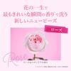Newbeads Luxe Craft Rose Magnolia Fragrance Gel Laundry Detergent Liquid 1600g x 2 [Bulk Purchase] & Refill,