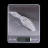 Body Wobbler Pike Zander Perch Do It Yourself For Painting 9Cm 10G 10Pcs