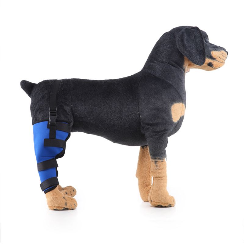 

Dog Leg Protector Knee Pad Single Back Leg Protector Pet Supplies Large and Medium Dogs Postoperative Rehabilitation Care Injury Sheath HJ24 blue right hind leg M