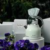 Buydeem K203 1.2L Stainless Steel Electric Kettle CN plug (adapter included)