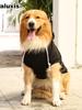 Fall Winter Fleece Golden Retriever Pocket Cat Dog Hoodie for Large Small Dogs Cats Pet Apparel