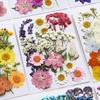 Pressed flower and dried flower craft kit, facial decoration for eye corner photo props, DIY resin photo frame with petals