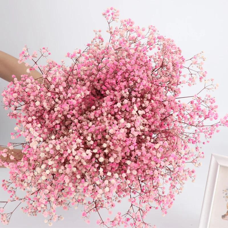 Dried Flowers Babys Breath Bouquet Ivory White Flowers Natural Gypsophila Branches for Home Decor Wedding Flowers Bulk for Vase