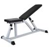 VidaXL Training Bench with Dumbbell Set 60.5 Kg Weight Bench 275346