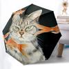 Doplňky – Deštníky
