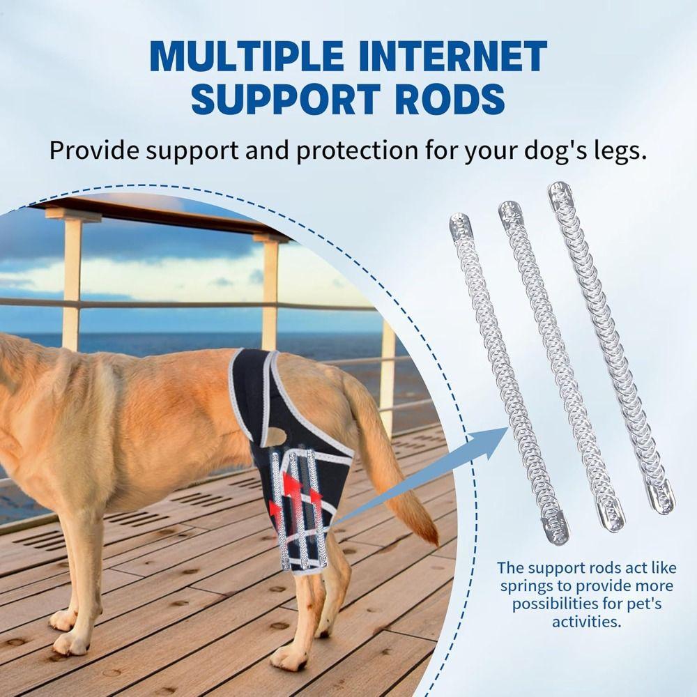 Durable Leg Support Bracket Adjustable Pet Knee Wound Protection  for Hind and Front Legs