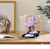 Transparent Acrylic Magnetic Display Box: Dustproof Protective Cover for Labubu Figures