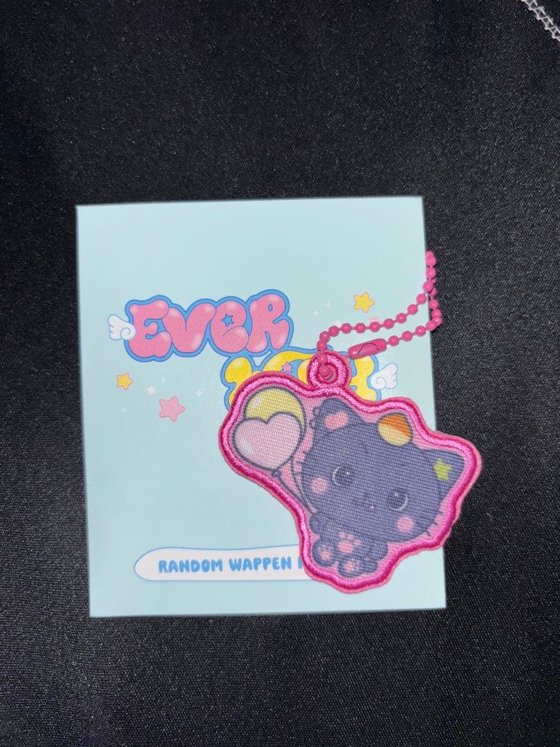 [USED] NCT WISH Riku Patch Keyring everwish