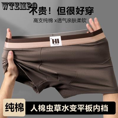 Chiloței – Boxeri