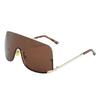 European American Style Sunglasses Women Y2K Stylish Wind Proof Sun Glasses Outdoor Bicycling for Men and Women