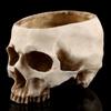 Resin Skull Head Design Flower Pot Planter Container Decoration Skull Container Skull Pot Skull Plant Pot Skull Flowerpot