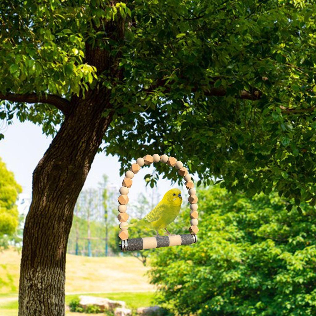 Bird Swing Perch for Parrots And Small Birds Activity Center