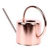 Watering Can Stainless Steel Large Capacity Retro Small Long Spout Water Can for Home Garden