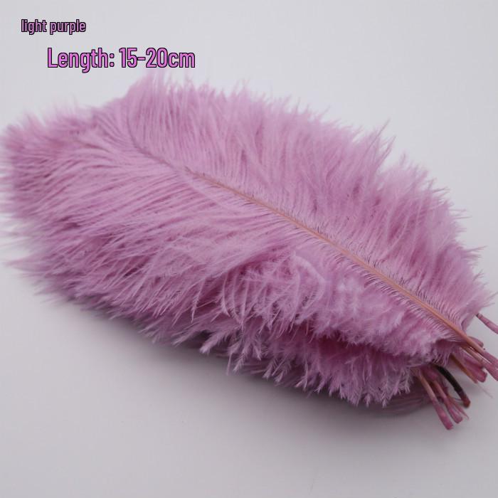 Large 15-20cm Ostrich Feathers for Wedding Arrangements and Stage Props