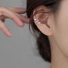 Women's Summer Light Luxury Niche Earrings