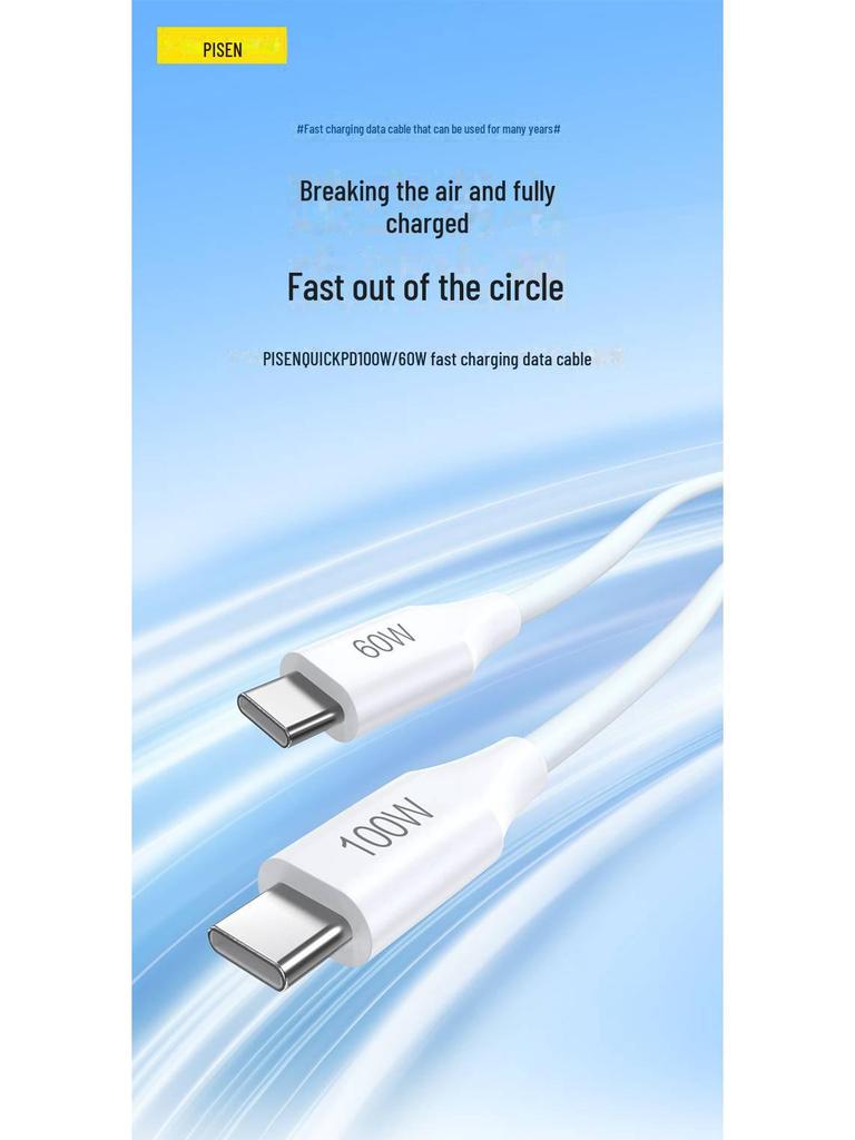 PISEN Dual-Head Type-C Charging Cable for iPhone 15 Pro Max & iPad Pro