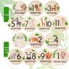 Wooden Baby Milestone Month Marker Photo Prop - DIY Round Plaque Set