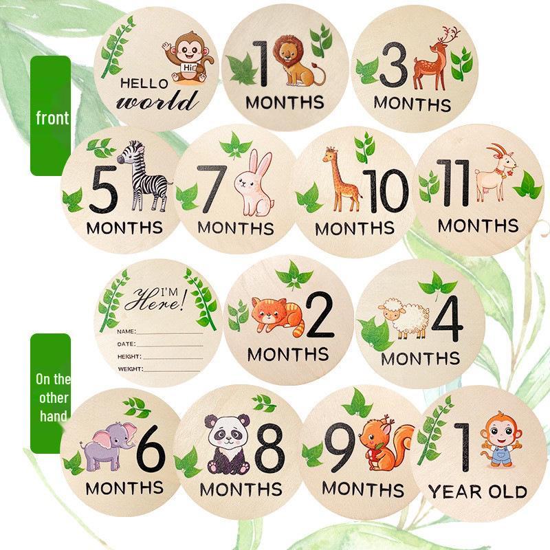 Wooden Baby Milestone Month Marker Photo Prop - DIY Round Plaque Set