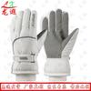 Longxia Winter Ski Gloves