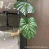 Pothos Leaf Artificial Taro Stem: Large Indoor Decoration for Landscaping and Film Sets
