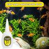 50/100g Colla Istantanea Trasparente per Aquascaping Impermeabile Adesivo per Acquario a Lunga Tenuta Colore Casuale del Tappo
