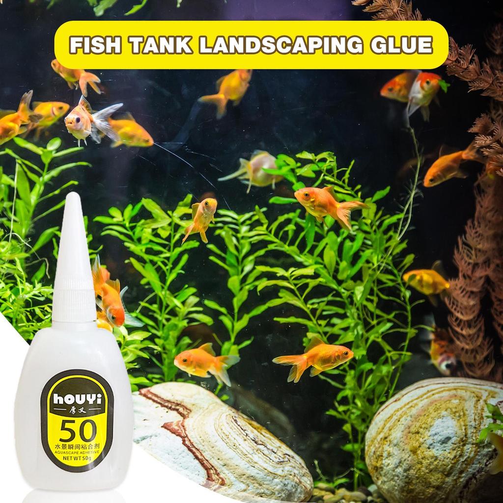 50/100g Colla Istantanea Trasparente per Aquascaping Impermeabile Adesivo per Acquario a Lunga Tenuta Colore Casuale del Tappo