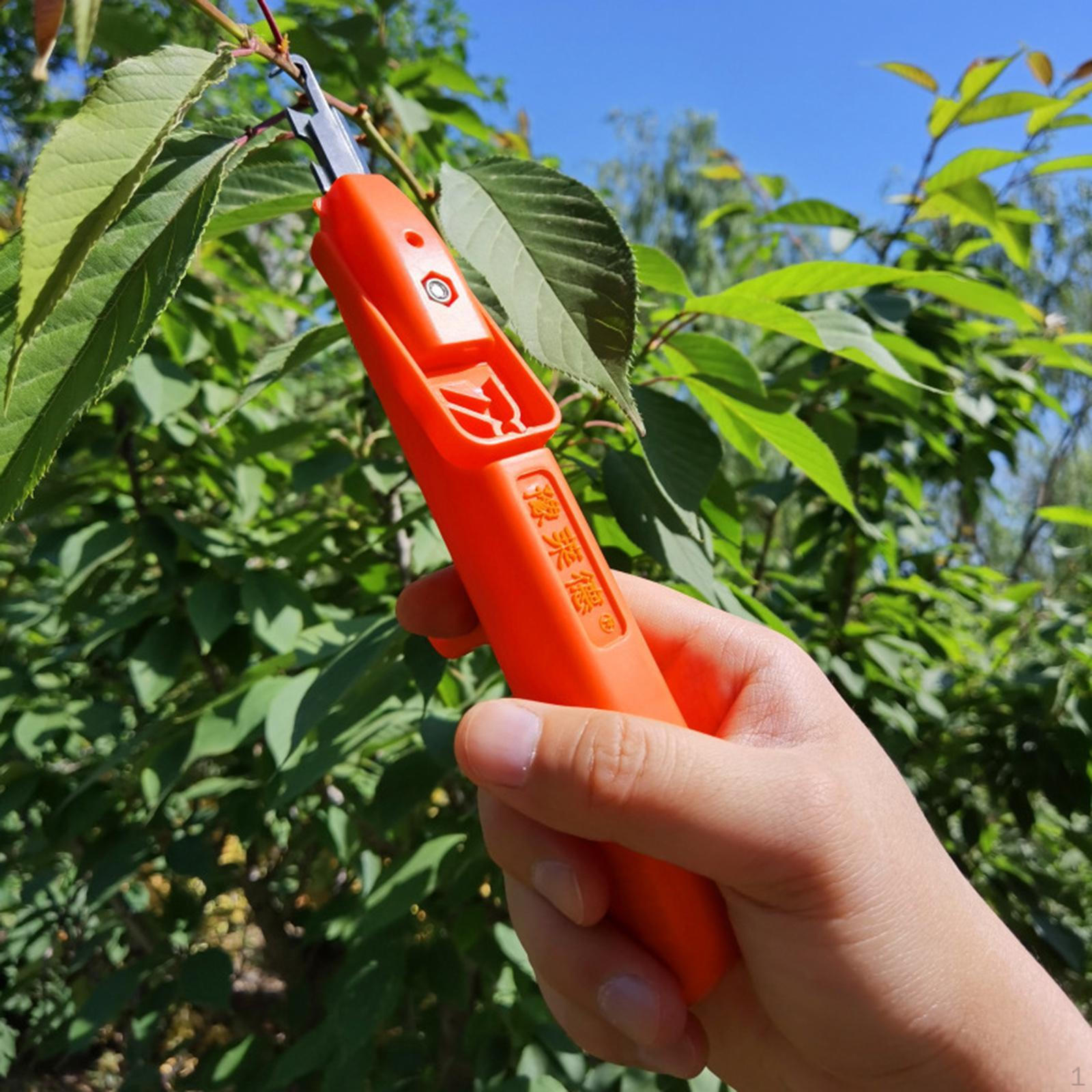 

Household Small Pepper Flower Branch Scissors, Vegetable Shears Gardening Pruning Tools for Garden