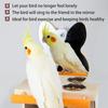 Parrots Mirror With Feeder Cups Bowl Wooden Birds Interactive Self-happy Toy Puzzle Toy