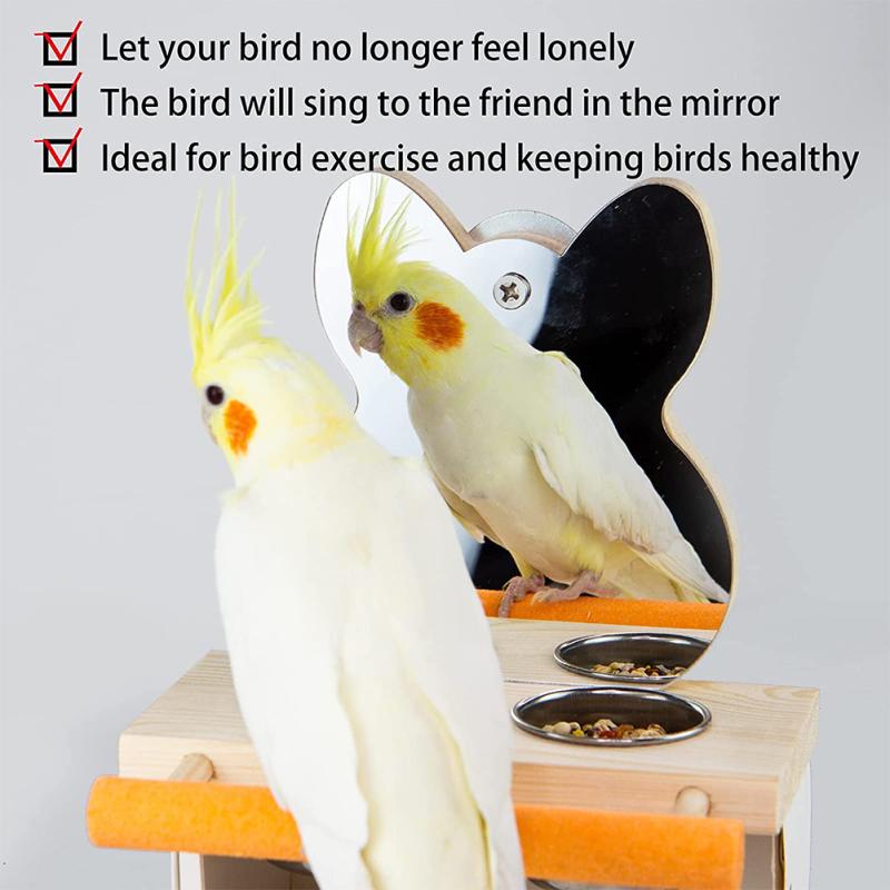 Parrots Mirror With Feeder Cups Bowl Wooden Birds Interactive Self-happy Toy Puzzle Toy
