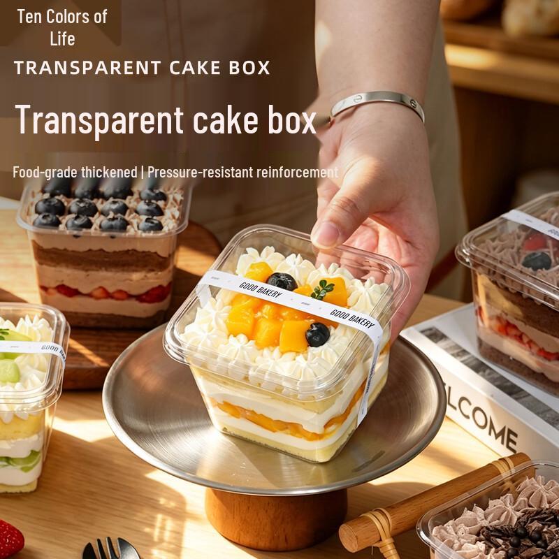 Square Disposable Plastic Dessert & Cake Box