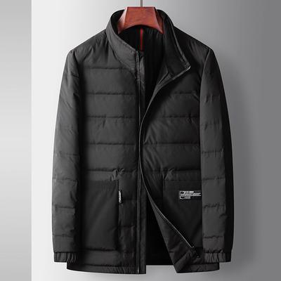 White Duck Down Warm Middle-aged and Young Business Casual Light Stand-up Collar Down Jacket