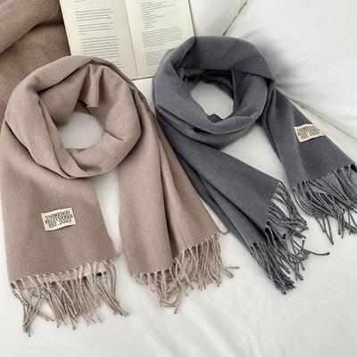 Autumn and Winter Scarves Women's Imitation Cashmere Solid Color High-end Sense Versatile Thickened Extended Warm Fringed Shawl Scarf