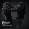 Angelic Angel Wings Layered Feathered Transparent Costume Accessory