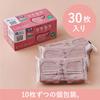 Elleair Erikara Regular 30 Stück in Kompatiblen Masken, Rose, Größe, (Hergestellt in Japan, Vliesstoff), PM2.5