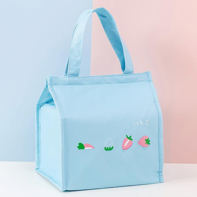 Insulated Lunch Bag With Portable Handle For Fresh Food And Cold Storage