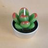 New simulation succulent plant candles, rose candles, 44 product combinations, and special-shaped paraffin candles