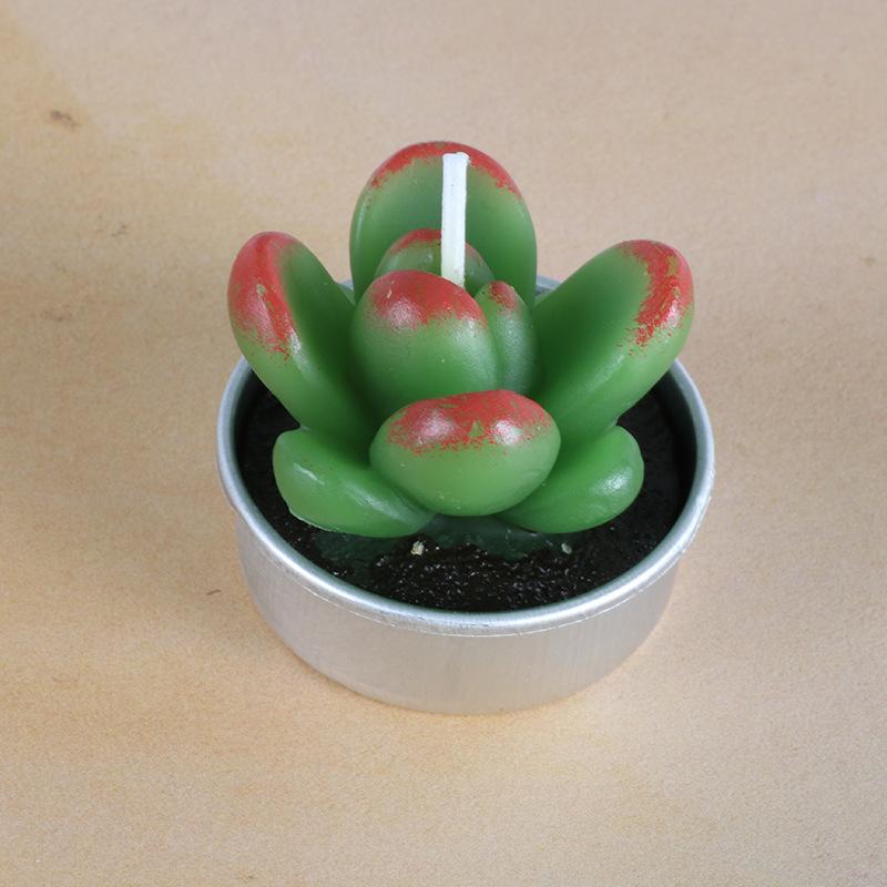 New simulation succulent plant candles, rose candles, 44 product combinations, and special-shaped paraffin candles