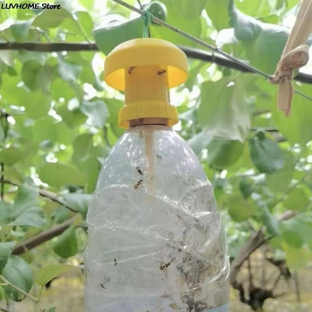 10pcs Practical Fruit Fly Trap Killer Yellow Insect Trap Fly Catcher For Home Farm Orchard