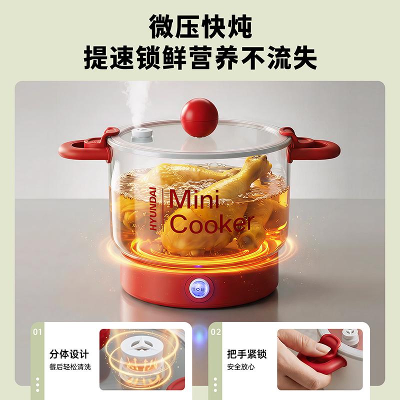 Multi-functional Electric Hot Pot with Titanium Coating